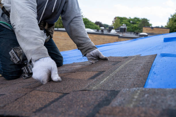 Best Sealant for Roof  in Como, WI